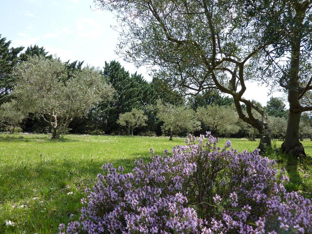 Les Mazets Du Luberon Bed & Breakfast Puget Ngoại thất bức ảnh